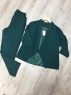 Костюм пиджак и брюки лайт SIZE PLUS зеленый OP37_Новая цена