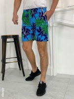 Мужские шорты пальмы Зеленые VD107