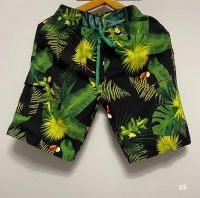 Мужские Пляжные шорты папоротник с зелёным принтом VD107