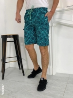 Мужские шорты папоротник Аквамарин VD107